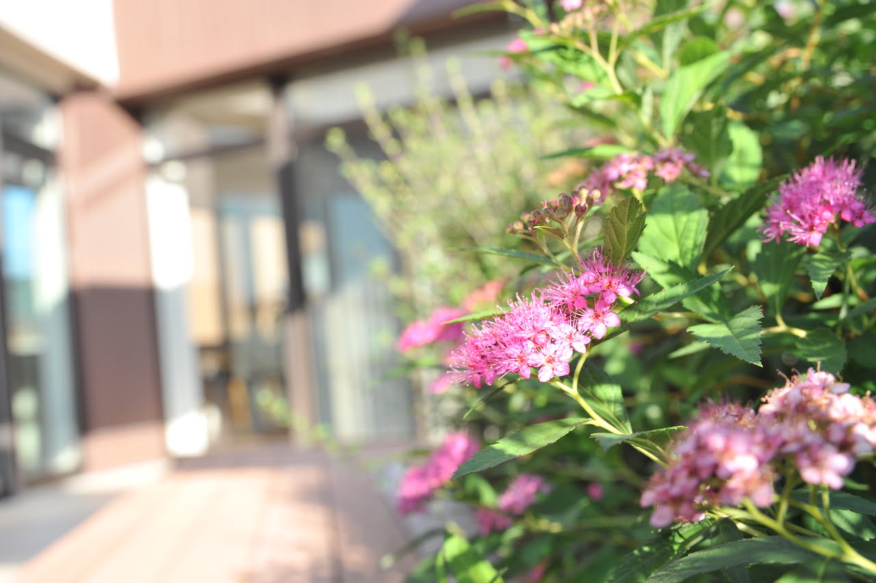 鍼治療を試してみてください