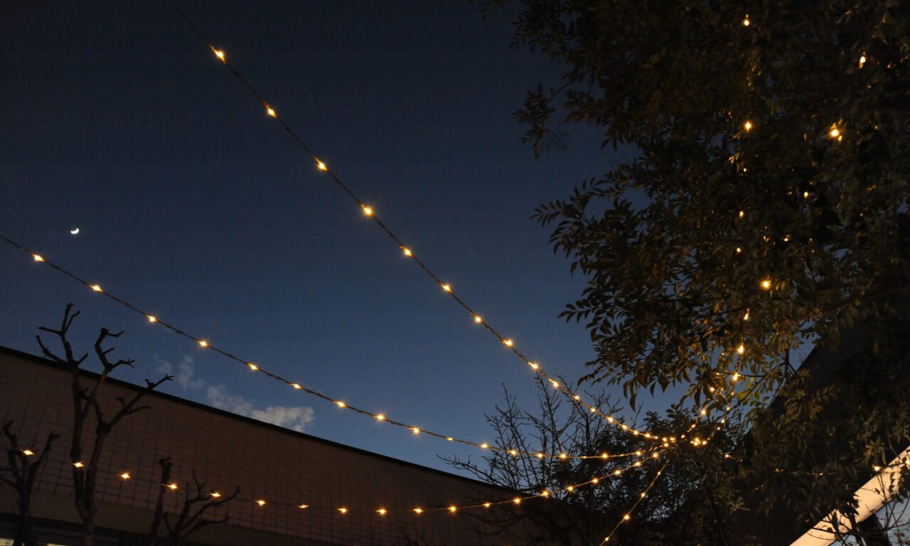 >女性のライフサイクルを応援します